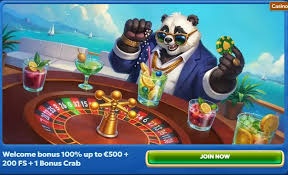Pandido Casino – Oficiali Internetinė Lošimų Platforma 2026